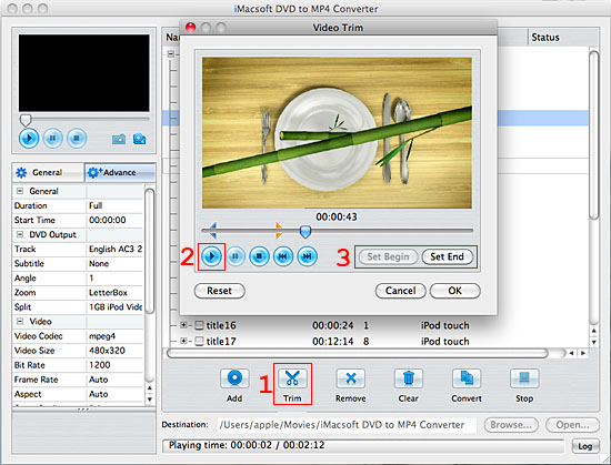 iMacsoft DVD to MP4 Converter for Mac